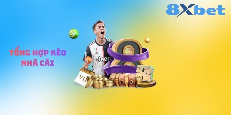 Tổng Hợp Kèo Nhà Cái: Những Thông Tin Quan Trọng Cho Người Chơi