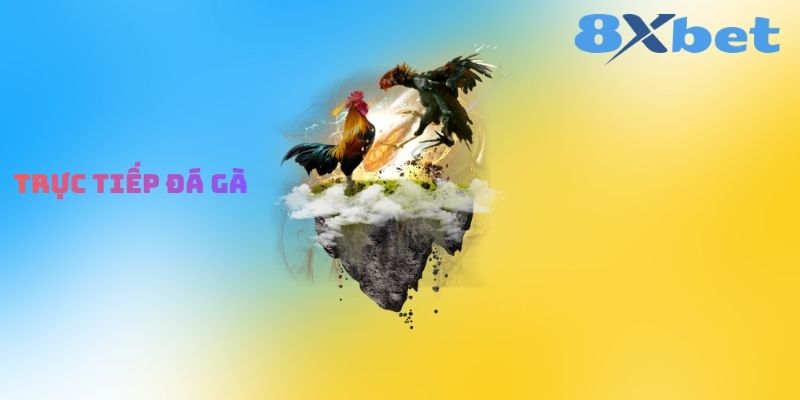 Trực Tiếp Đá Gà: Trải Nghiệm Độc Đáo Tại Nhà Cái 8XBET