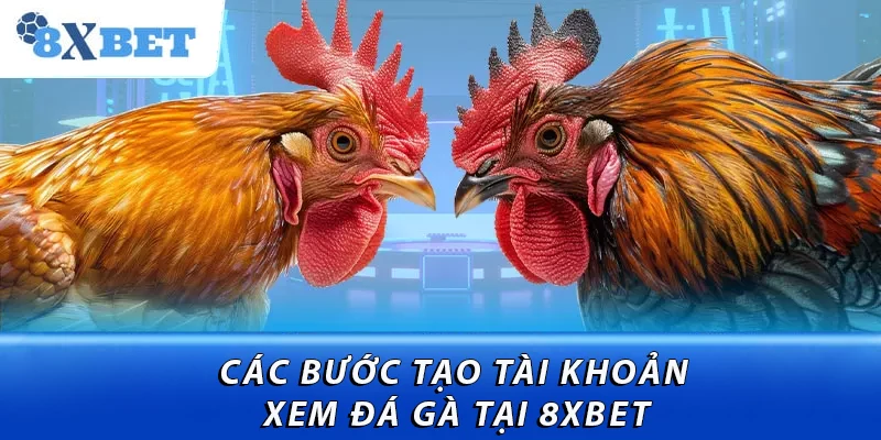 Các bước tạo tài khoản xem đá gà tại 8XBET