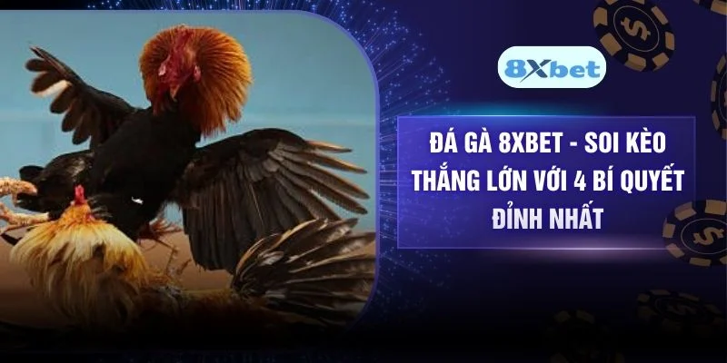 Đá Gà 8XBET – Soi Kèo Thắng Lớn Với 4 Bí Quyết Đỉnh Nhất