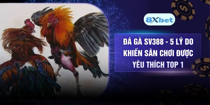 Đá Gà SV388 – 5 Lý Do Khiến Sân Chơi Được Yêu Thích Top 1