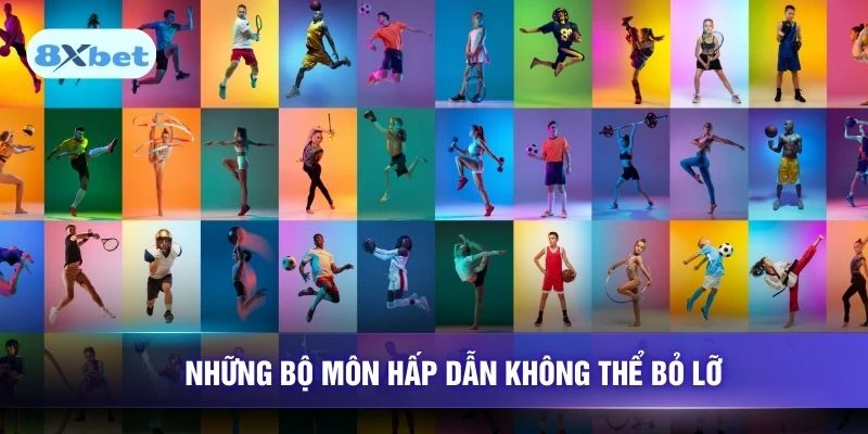 Những bộ môn hấp dẫn không thể bỏ lỡ